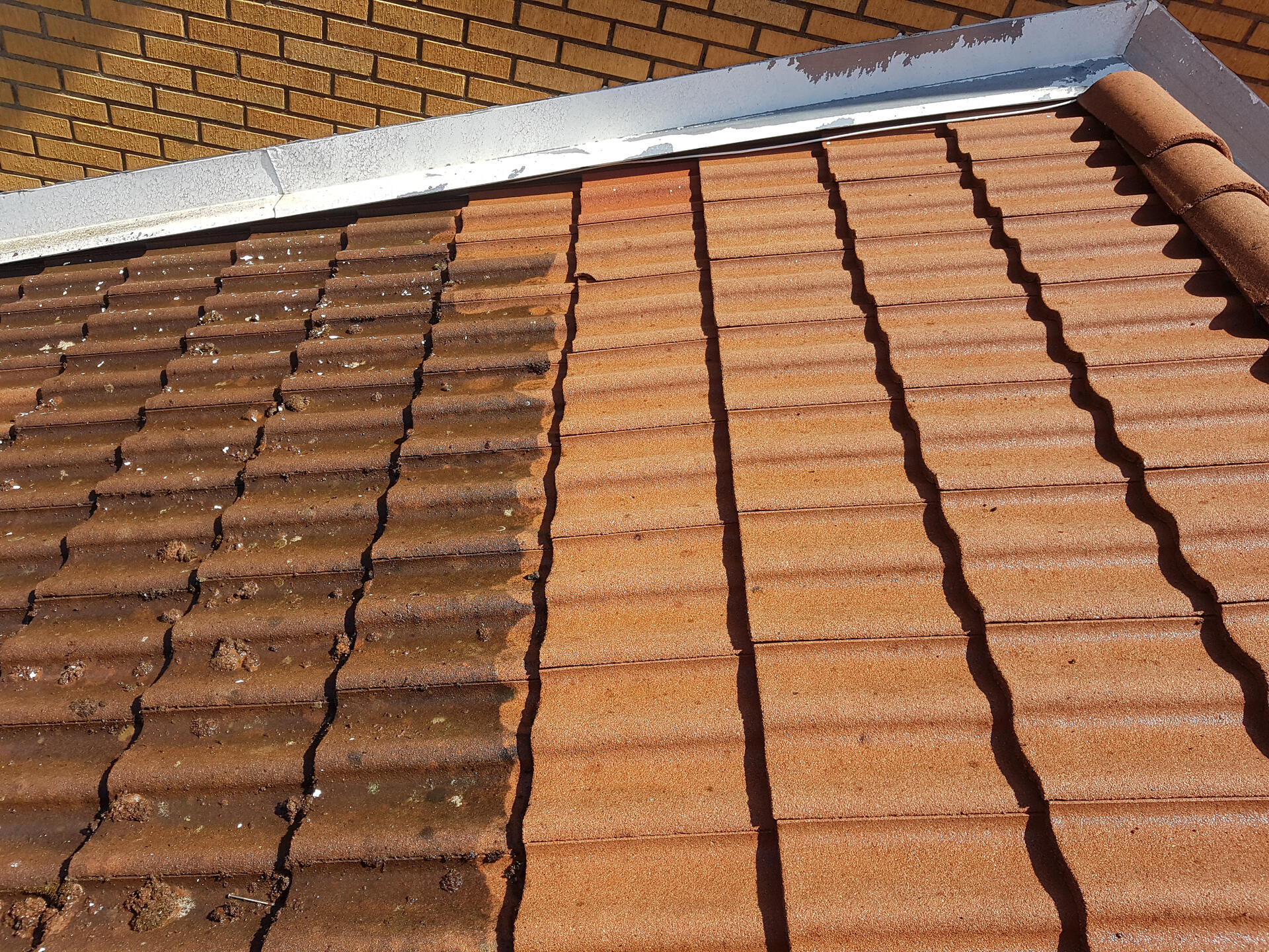 roof cleaning - before